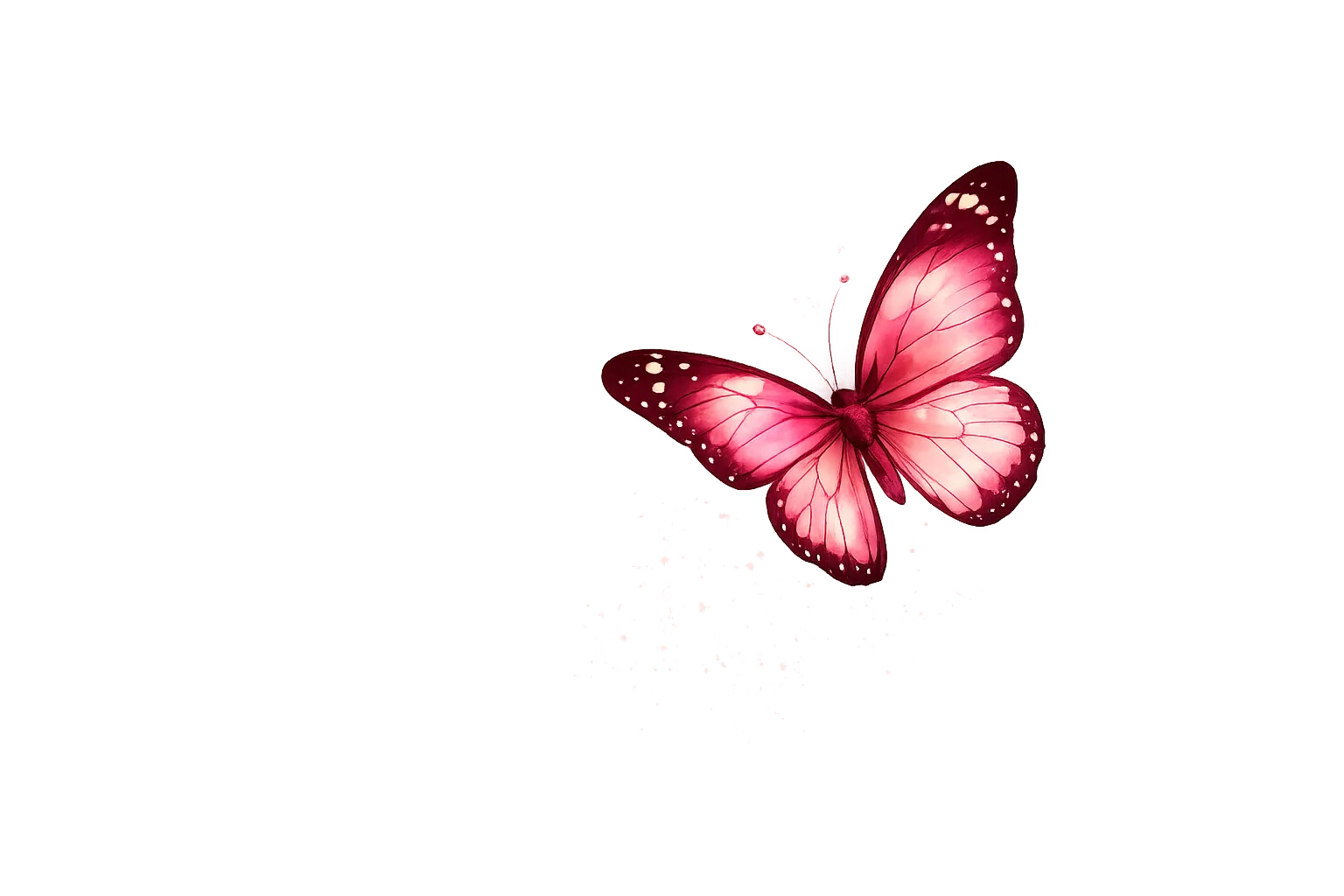 Butterfly decoration